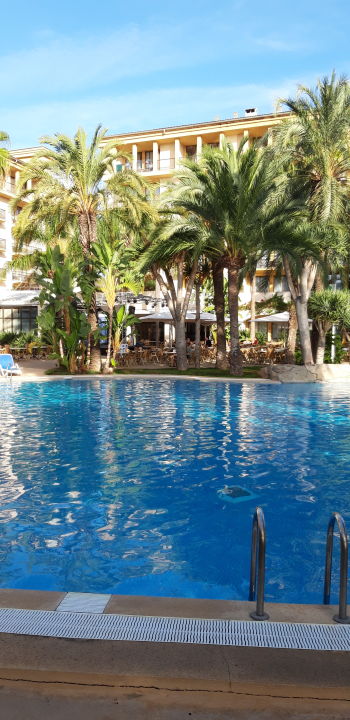 Allsun Estrella Coral De Mar Bilder