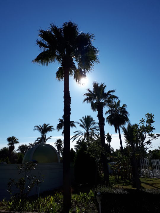 "Gartenanlage" Delphin BE Grand (Lara) • HolidayCheck (Türkische