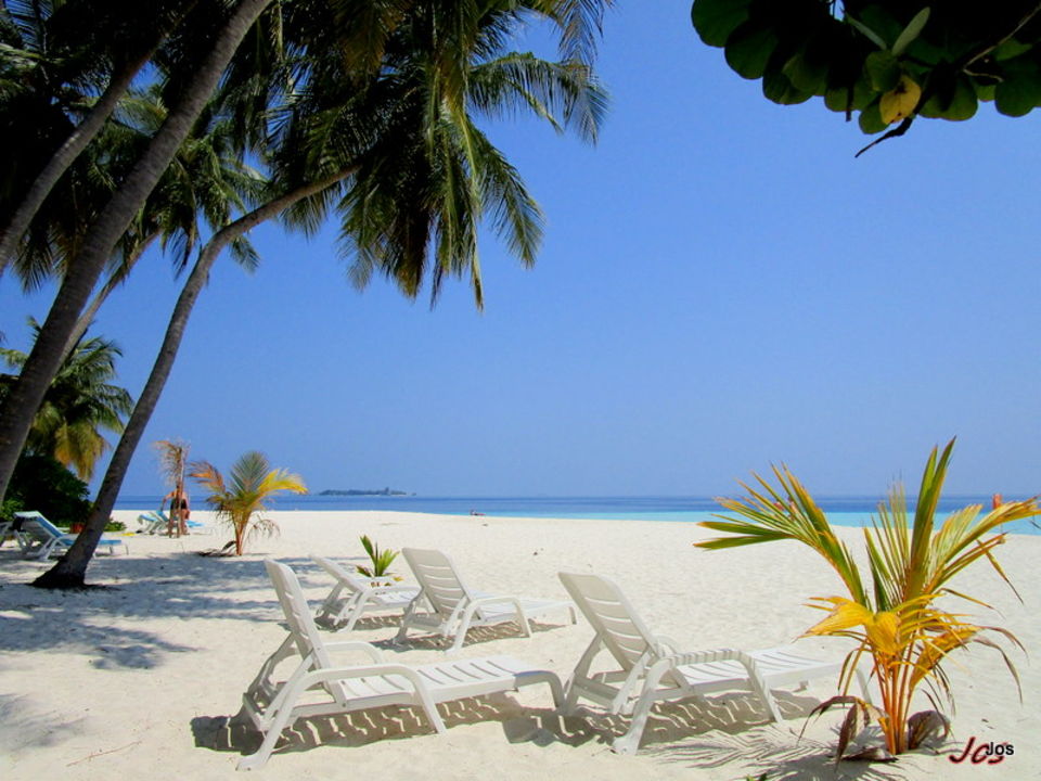 "Strand" Fihalhohi Island Resort (Maafushi) • HolidayCheck (Kaafu Atoll ...