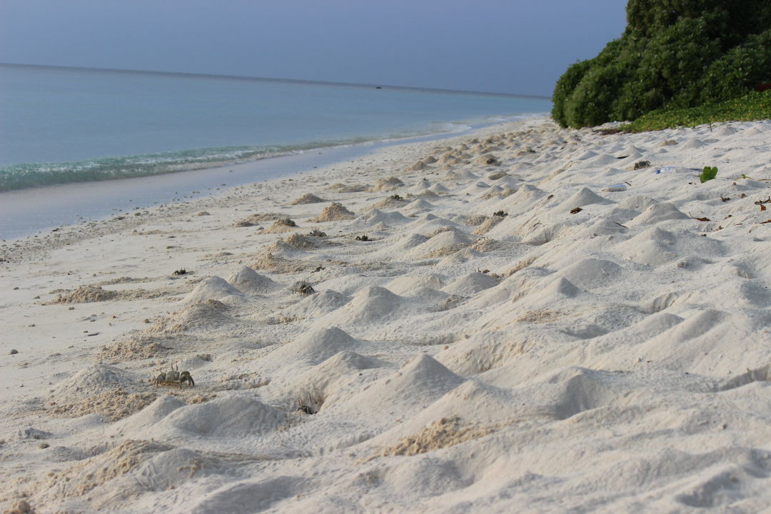 "Bikini Beach ( am Abend eine "Krabbenhochburg" Coral Reef View Inn