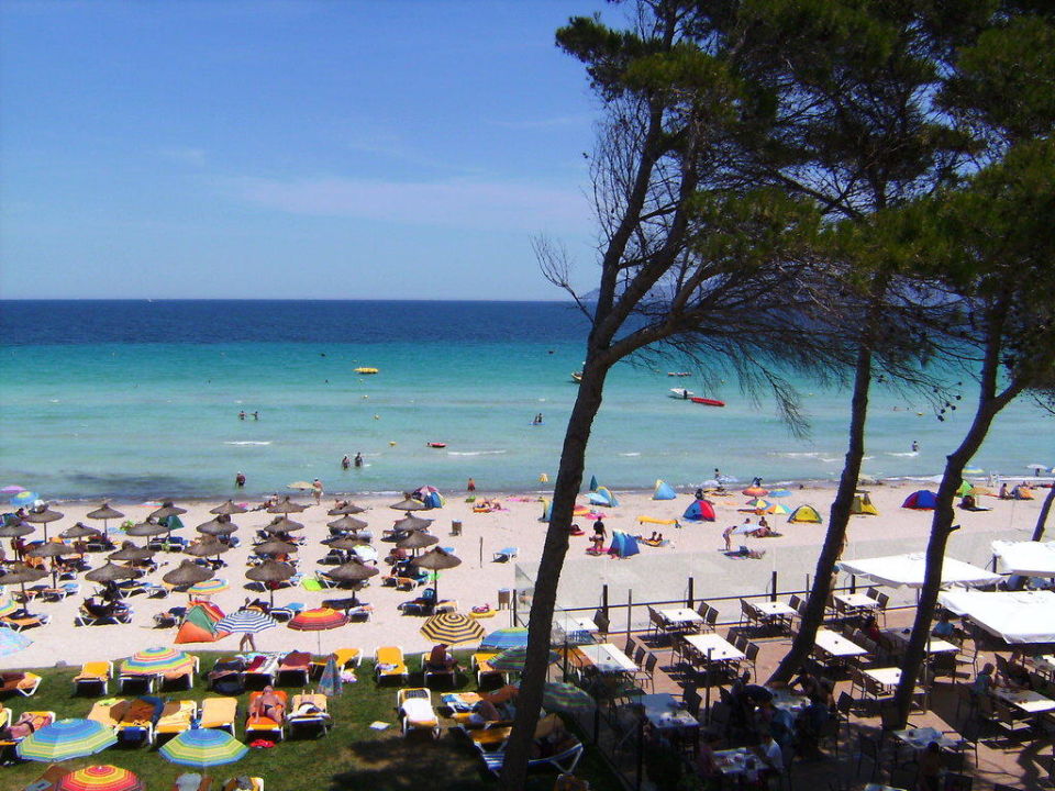 Strand Iberostar Alcudia Park Platja De Muro Playa De Muro