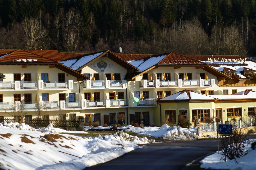 "Hotel Hammerhof" Hotel Hammerhof (Bodenmais) • HolidayCheck (Bayern ...