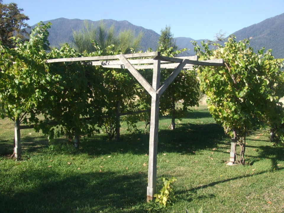 "Weinlaube im Garten" Hosteria Rosengarten (Futrono) • HolidayCheck