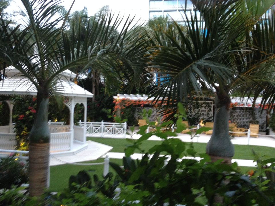 "Ausblick von der Terrasse in den Garten" The Palms Hotel & Spa (Miami