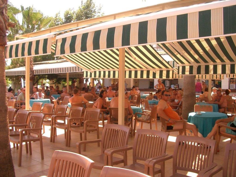 "Die Bar" Trendy Palm Beach Hotel (Side - Kumköy) • HolidayCheck