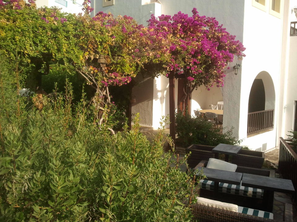 "Sitzgruppe unter Pergola" Hersonissos Village Hotel & Bungalows