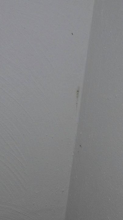 "Fleck Wand" Weißer Berg Strandhotel (Mardorf) • HolidayCheck