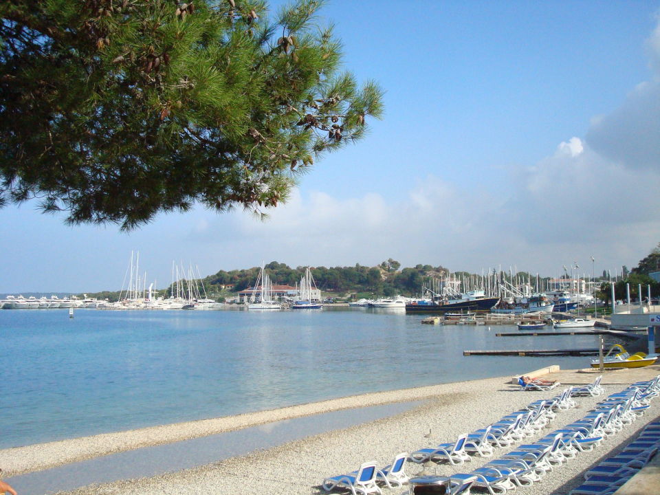 "Strand mit Blick zum Hafen" Resort Belvedere Hotel & Apartments (Vrsar