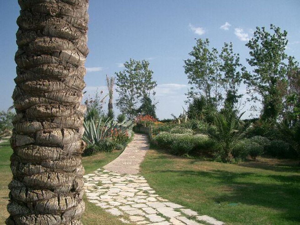 Bild "Schön wars" zu TUI MAGIC LIFE Waterworld in Belek