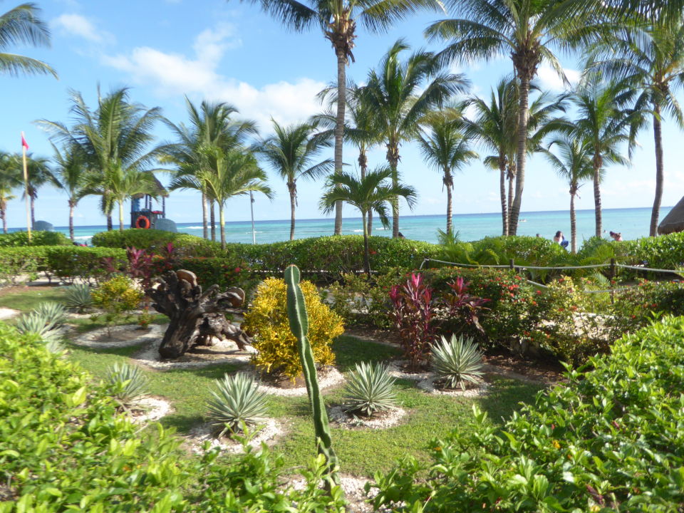 "Gartenanlage" Sandos Caracol Eco Resort (Playa del Carmen / Playacar