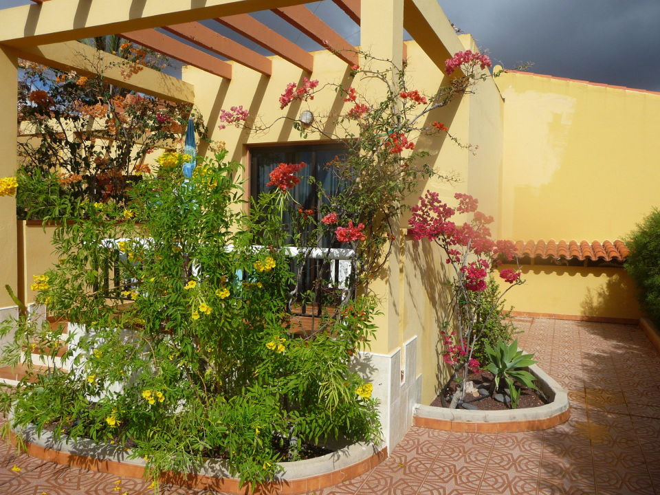 Bungalow Mit Terrassenbereich Hotel La Mirada Jandia Playa De