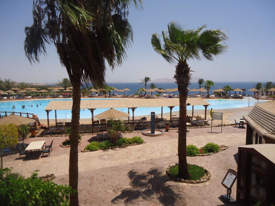 Pyramisa beach resort 5 шарм эль шейх фото