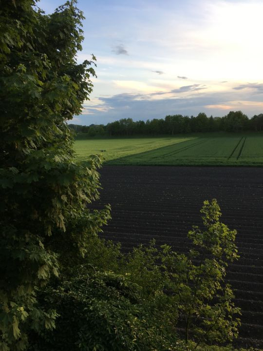 "Ausblick" Ramada by Wyndham München Airport (Oberding) • HolidayCheck