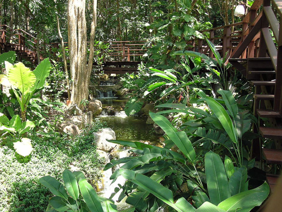 "tropischer Dschungel-Garten" Hotel Pimalai Resort & Spa (Kan Tiang Bay
