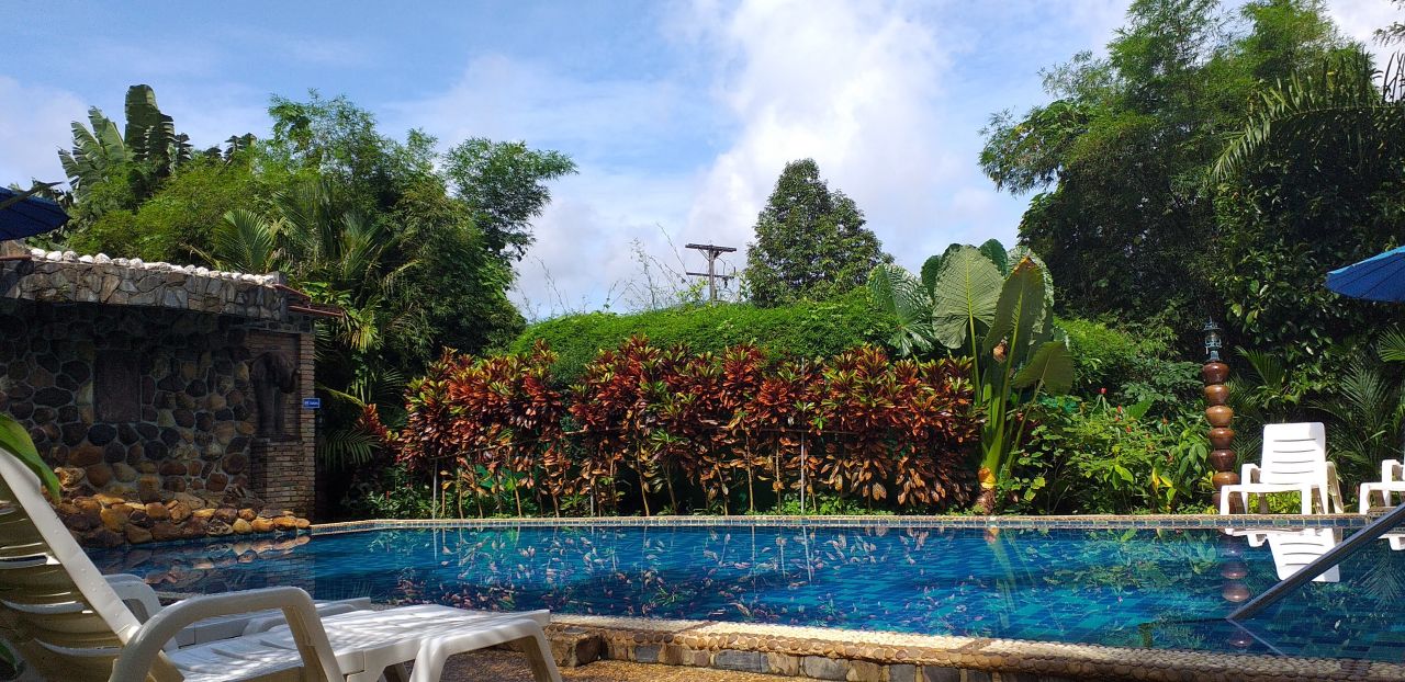Pool Hotel Khao Sok Spa Khao Sok Nationalpark Pool Hotel Khao Sok Spa Khao Sok Nationalpark