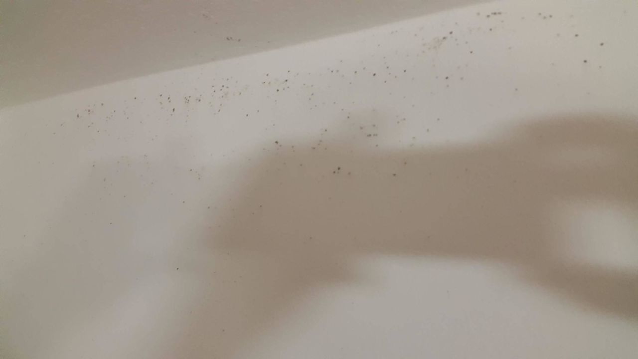 Schimmel An Der Wand Im Bad Ferienwohnungen Haus Martha