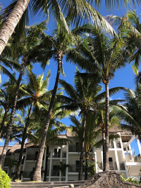 "Außenansicht" Veranda Palmar Beach Hotel (Belle Mare) • HolidayCheck (Mauritius Ostküste ...