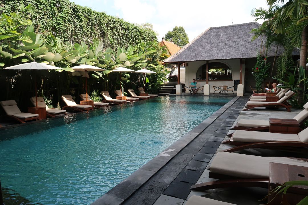  Pool Ubud  Village  Hotel  Ubud   HolidayCheck Bali 