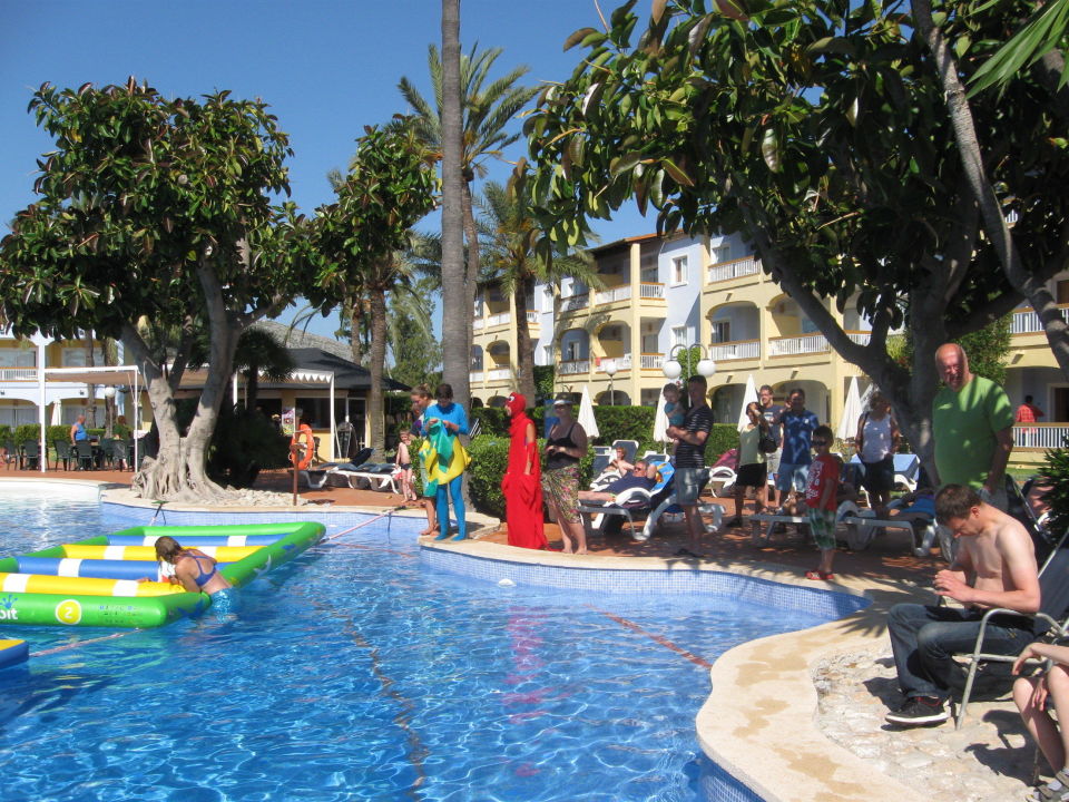 "Pool mit Hotelgebäude" Alcudia Garden Aparthotel (Alcudia ...