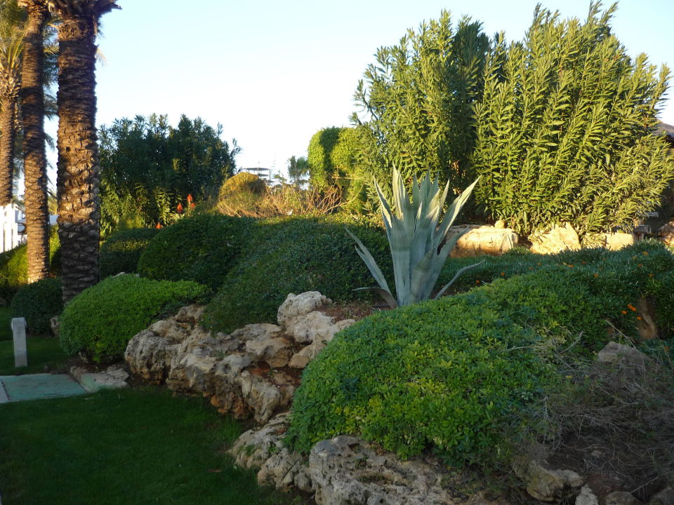 &quot;Ein romantisches Plätzchen im Garten &quot; Titanic Beach Lara