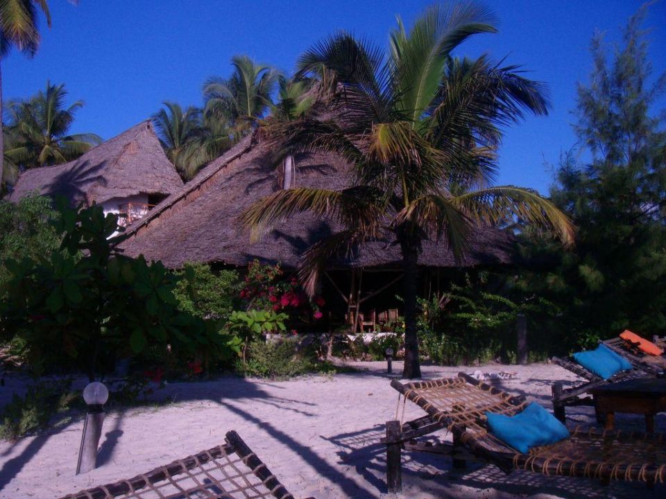 Casa El Mar Strand Garten Hotel Casa Del Mar Jambiani Holidaycheck Zanzibar Sansibar Tansania