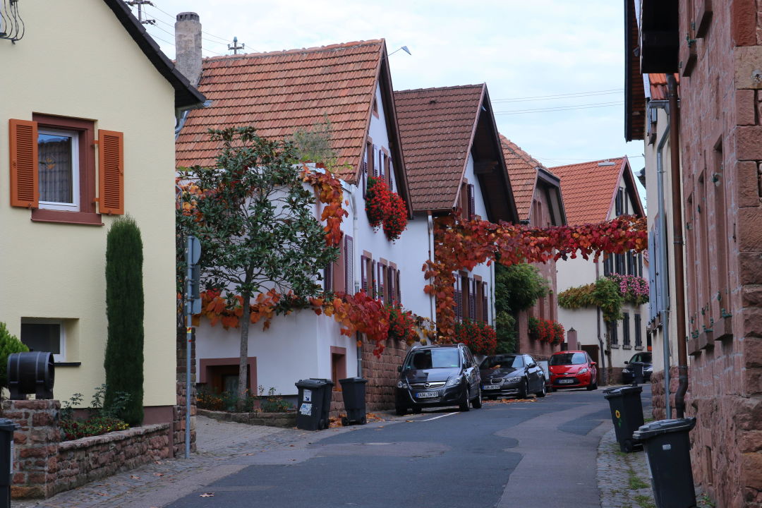 "Palatinum Jahnstr.11" Haus Palatinum (St. Martin