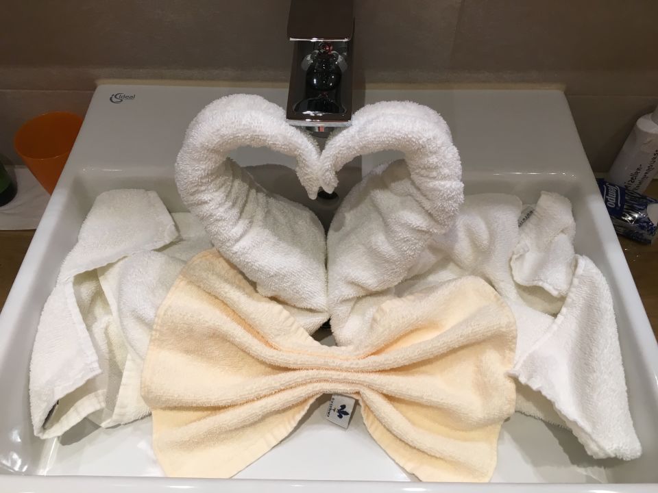 "Schwäne im Waschbecken " Parkhotel Burgmühle (Fischen im Allgäu