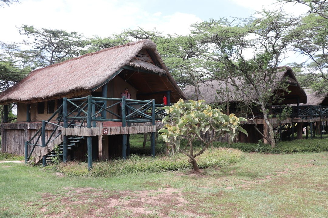 "Außenansicht" Sweetwaters Tented Camp (Nanyuki) • HolidayCheck