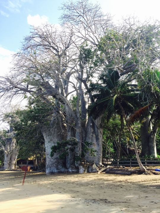 "Strand" Jardin Maore (Mamoudzou) • HolidayCheck (Mayotte ...