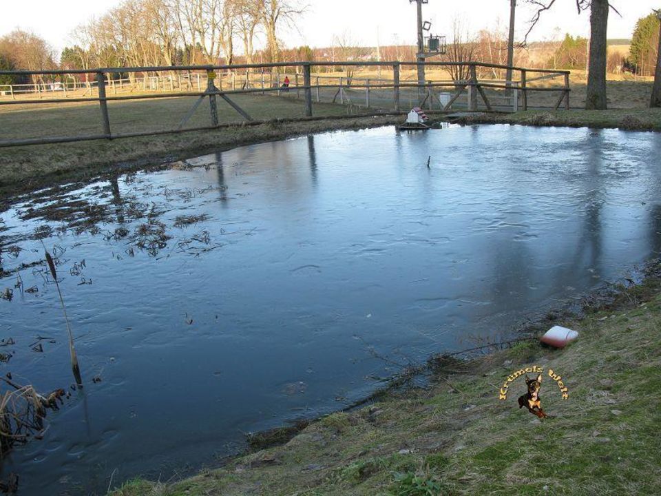 "Kleiner Teich im Garten des Hotels" Hotel Harzhaus ...