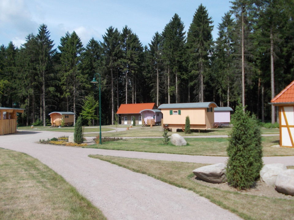 Schaferwagen Als Ferienwohnung Schaferdorf Luneburger Heide Nindorf Am Walde Holidaycheck Niedersachsen Deutschland