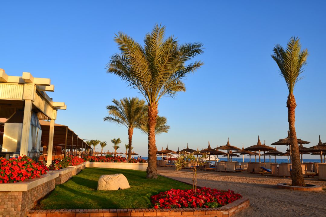 Beach albatros resort hurghada фото