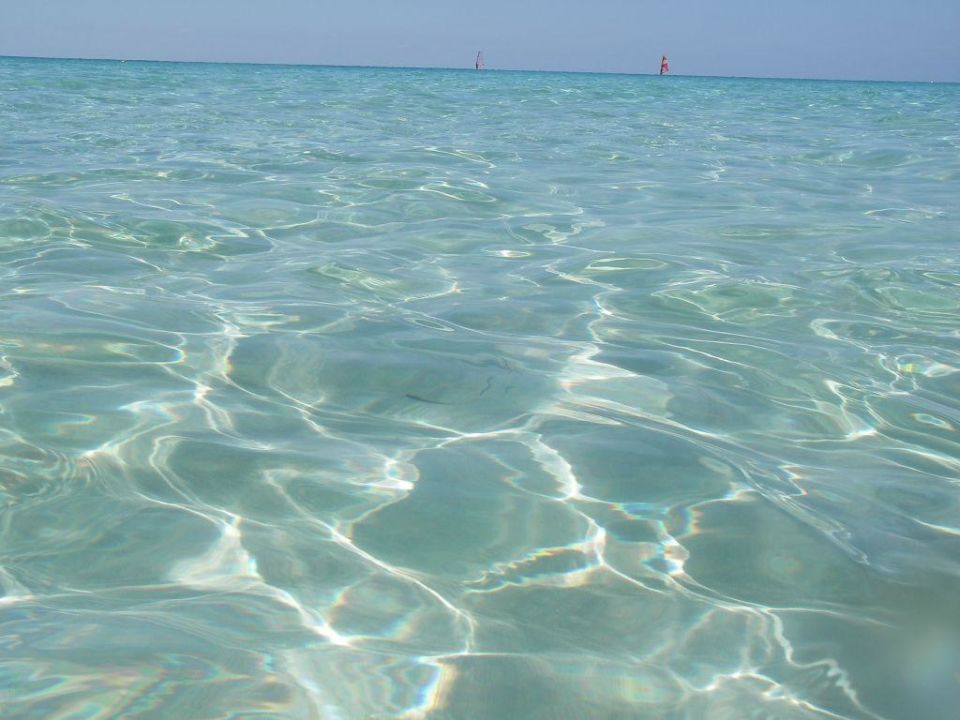 Schones Wasser Karibik Flyer Insotel Club Maryland Es Calo Holidaycheck Formentera Spanien