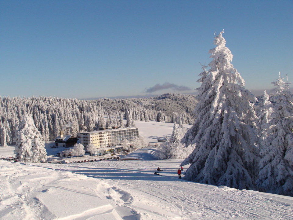  Blick vom Feldberg auf das Hotel  Familotel Hotel Feldberger Hof