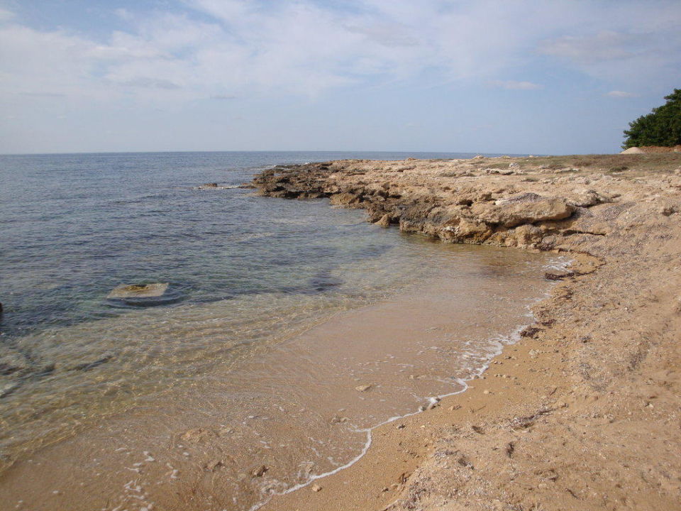 "Der Strand war tatsächlich sehr steinig" Constantinou Bros Athena
