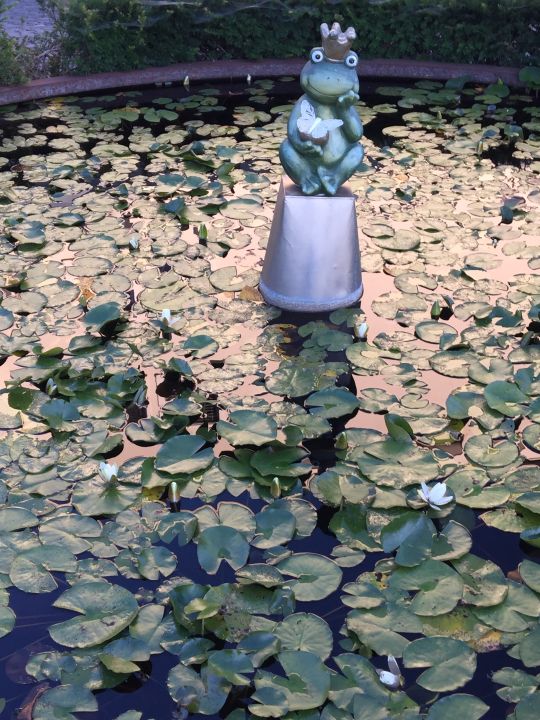 "Gartenanlage" Seerose Resort & Spa (Meisterschwanden) • HolidayCheck