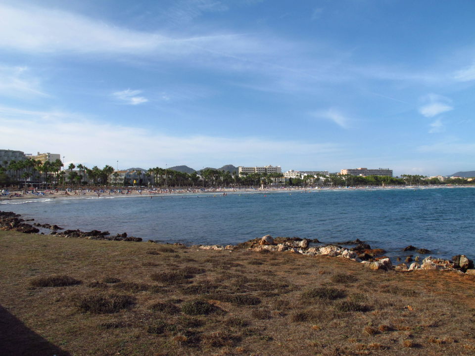 "Blick auf die Bucht von Sa Coma" Hipotels Mediterraneo Club (Sa Coma