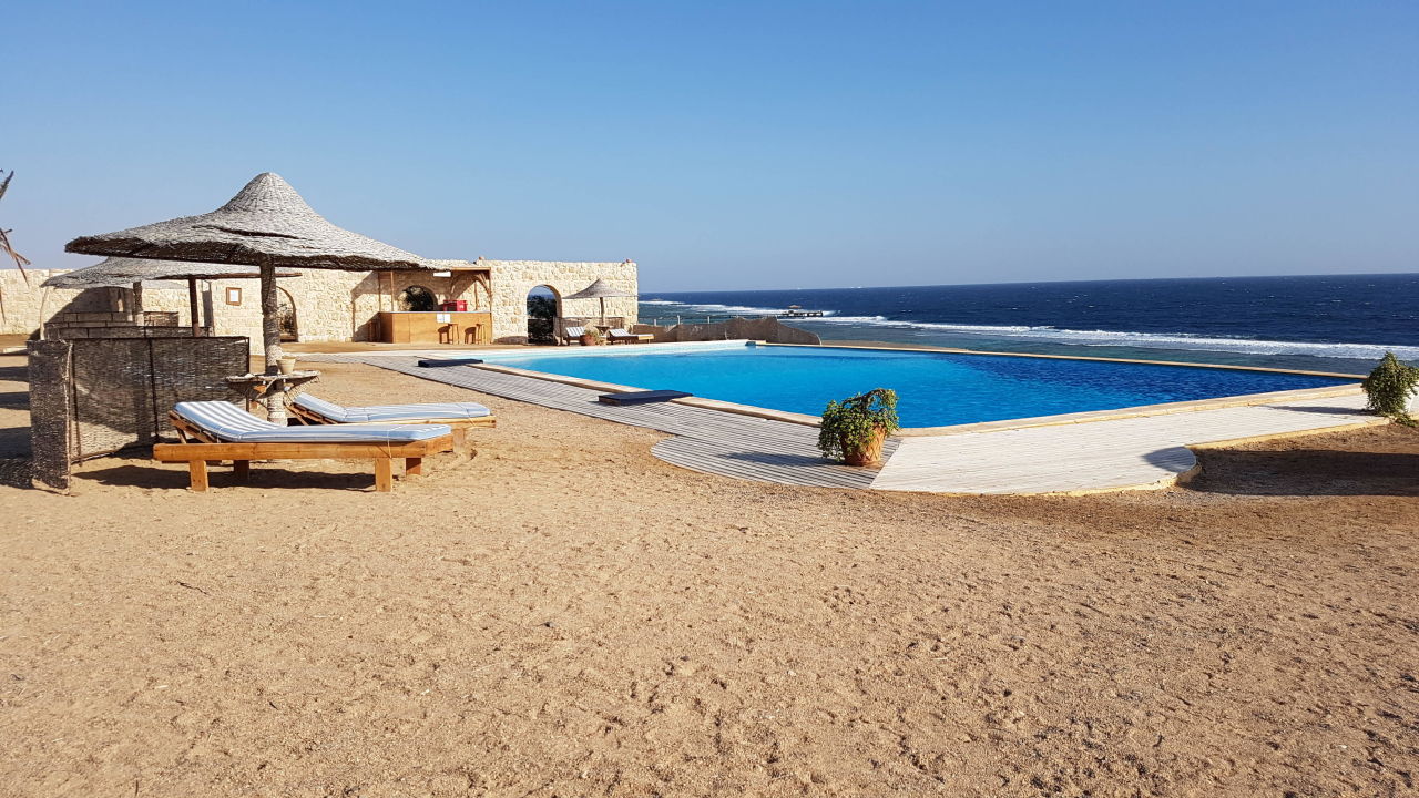 "Pool" The Oasis Dive Resort (Marsa Alam) • HolidayCheck (Marsa Alam/El