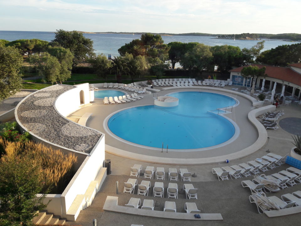 belvedere park pool