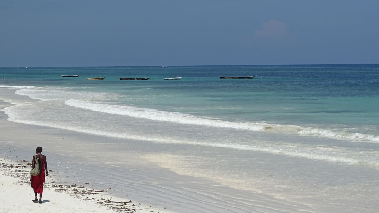 "Strand" Diani Sea Resort (Diani Beach) • HolidayCheck (Provinz Coast