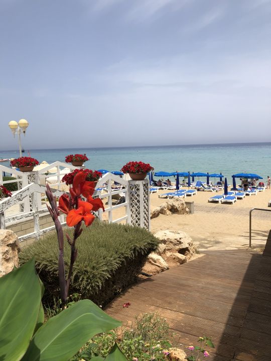 "Strand" Hotel Sunrise Beach (Protaras) • HolidayCheck (Südzypern Zypern)