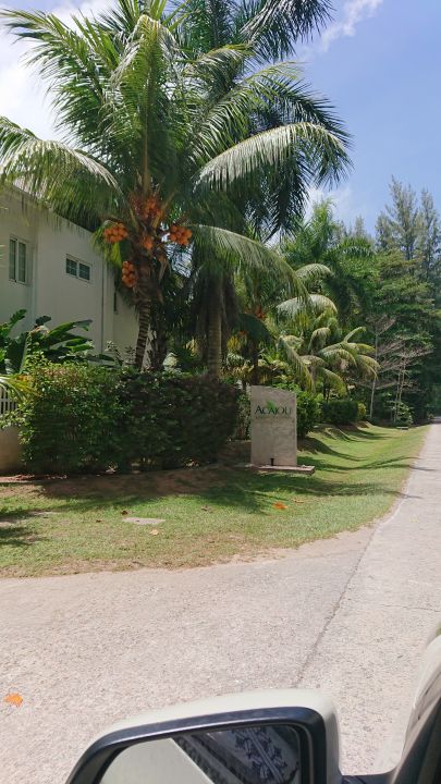 "Gartenanlage" Acajou Beach Resort (Anse Volbert / Cote d ...