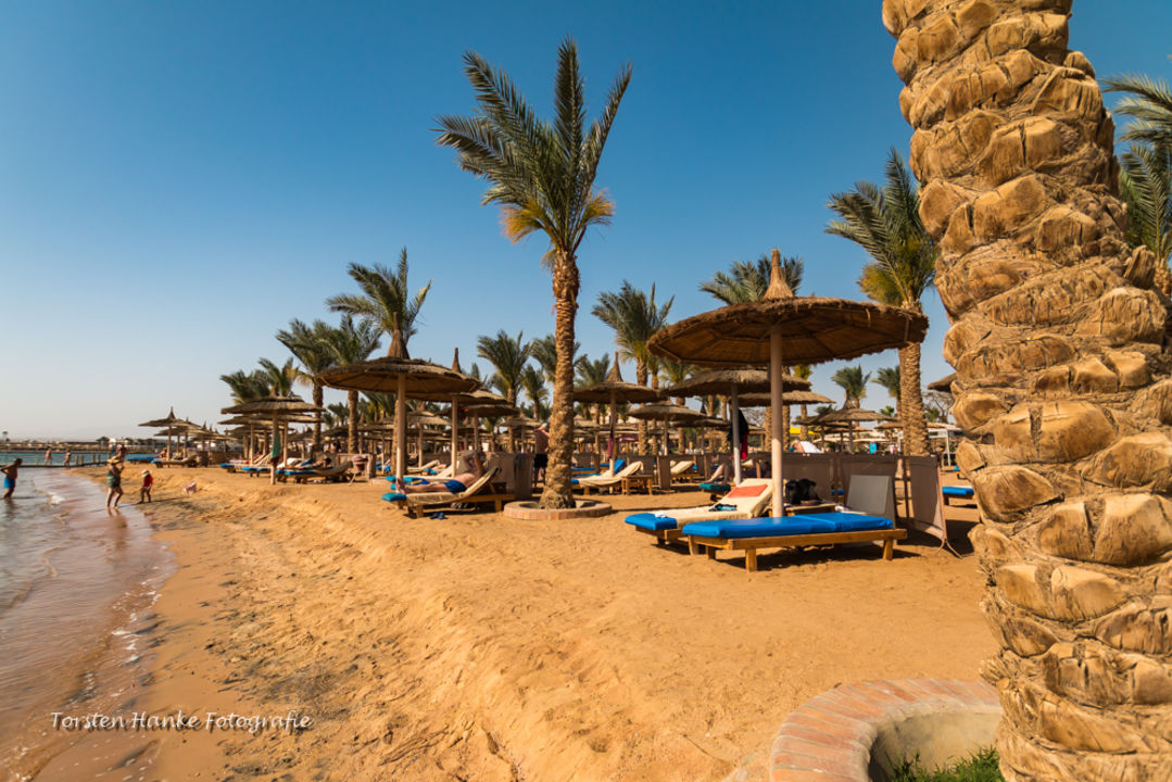 "Strand" Albatros Palace Resort (Hurghada) • HolidayCheck ...