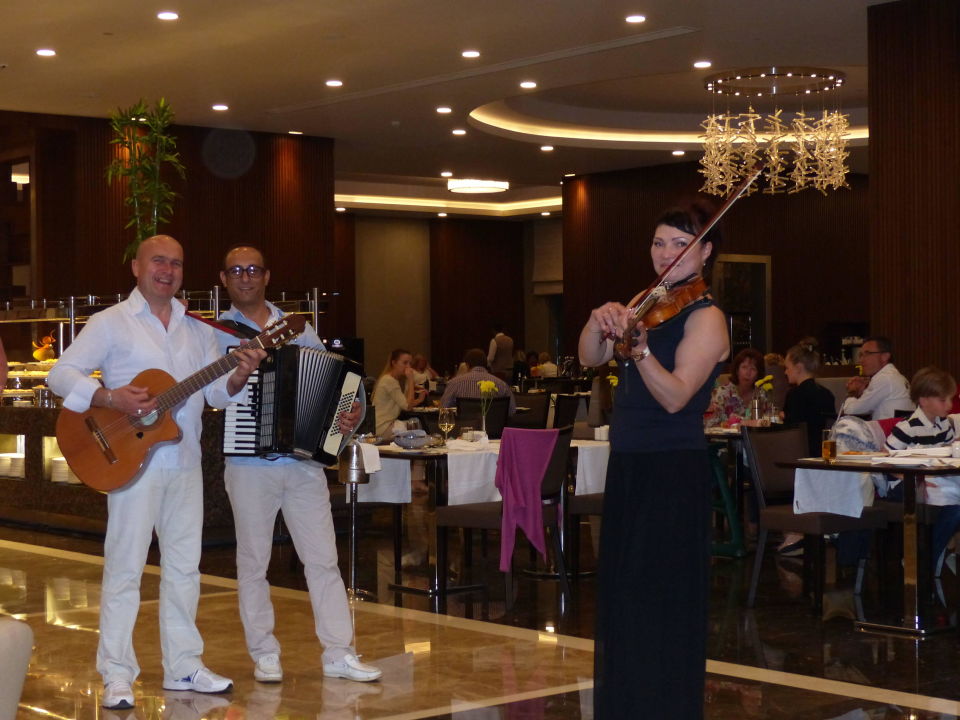 Luxus Türkisches Restaurant Mit Live Musik Bilder