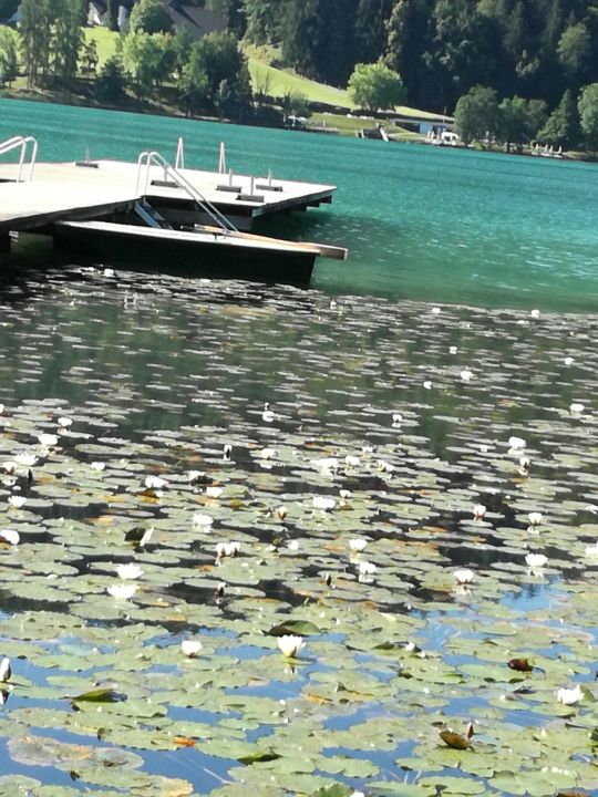 "Gartenanlage" Wohlfühlpension Kristan (St. Kanzian am Klopeiner See