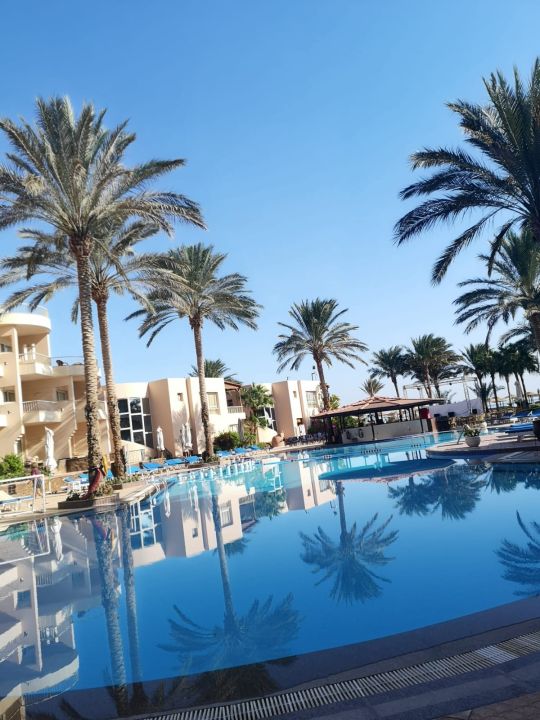 "Pool" Sea Star Beau Rivage (Hurghada) • HolidayCheck ...