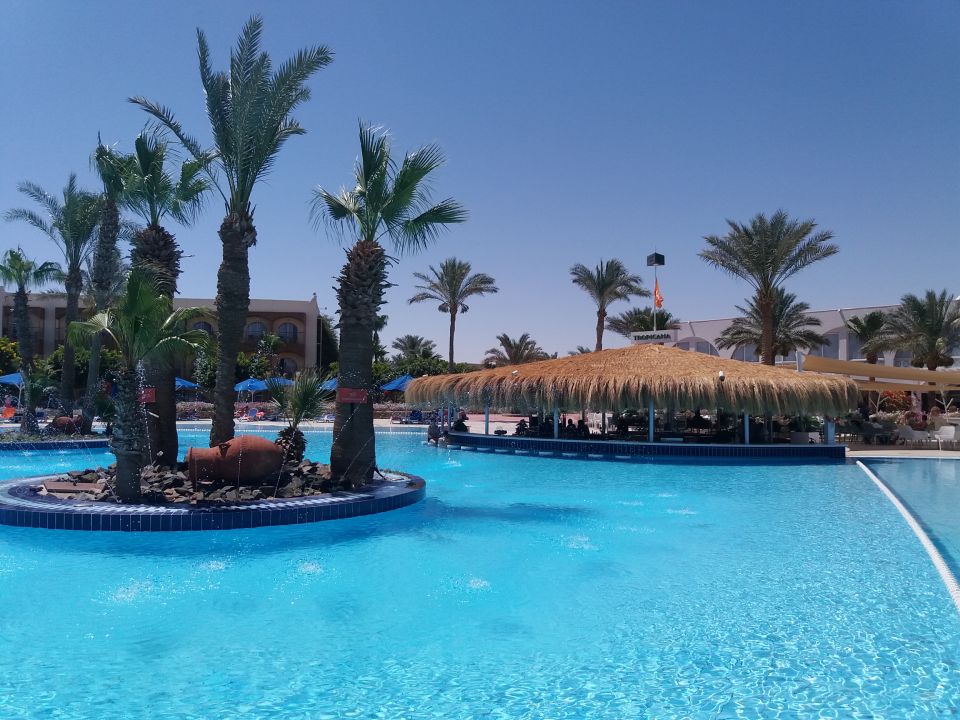 Pool Desert Rose Resort Hurghada • Holidaycheck Hurghadasafaga Ägypten 2071