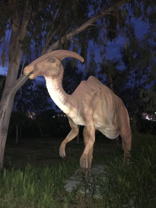 "Garten" Delphin BE Grand (Lara) • HolidayCheck (Türkische Riviera