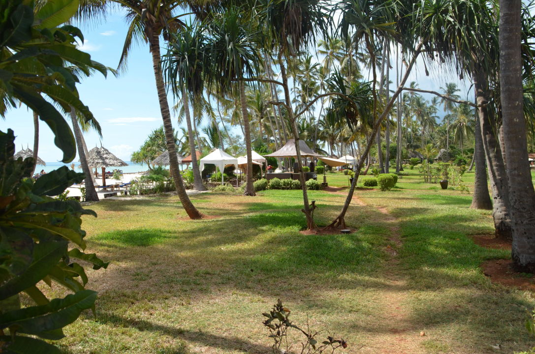 "Garten " Dream of Zanzibar (Pwani Mchangani) • HolidayCheck (Zanzibar