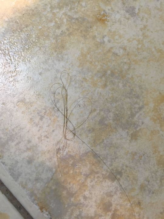 "Haare auf dem Badboden" Hotel Gladiola Star (Goldstrand